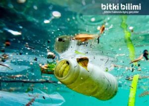 Su Kaynaklarındaki Azalma Nedenleri ve Çözüm Önerileri