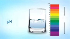 Suyun İdeal pH Değeri: Nedir ve Nasıl Korunur?