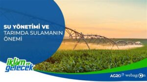 Tarımda Su Kalitesinin Önemi ve Yönetim Stratejileri